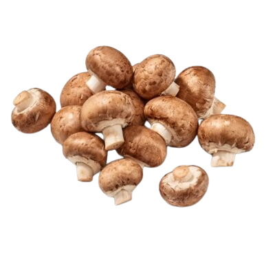 kastanjechampignons