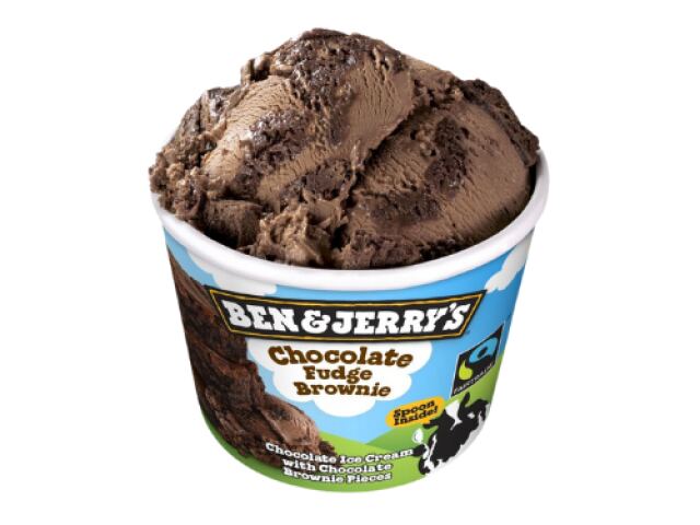 Chocolate Fudge Brownie