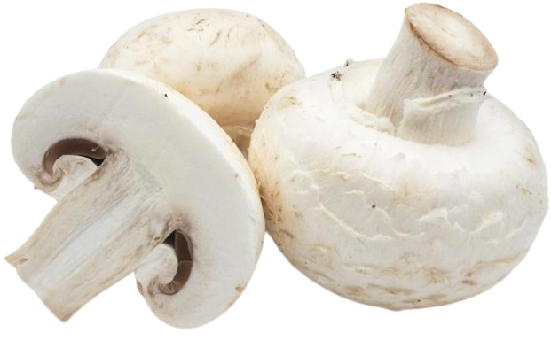 Champignons