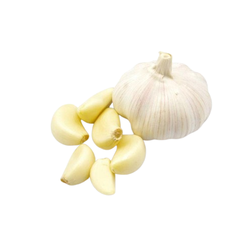 Knoflook