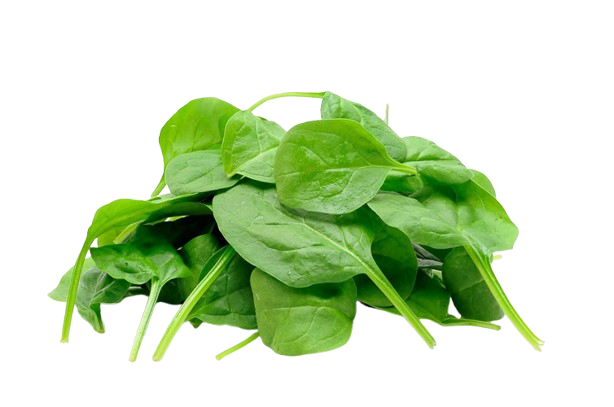 Spinazie
