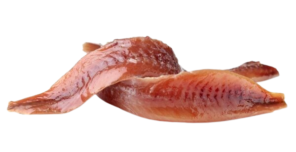 Ansjovis