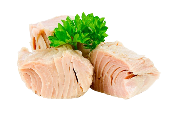 Tonijn