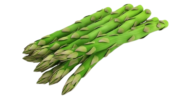 Asperges